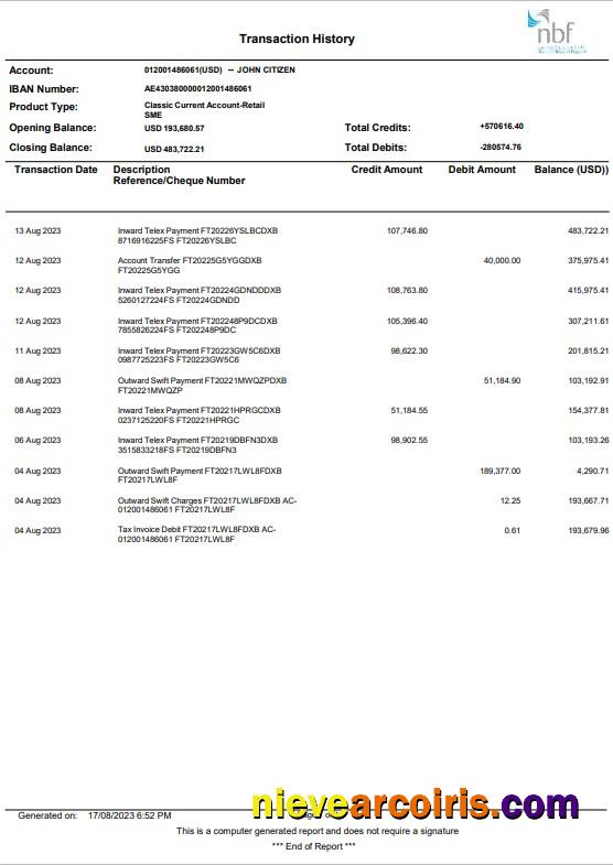 UAE NBF bank statement Word and PDF